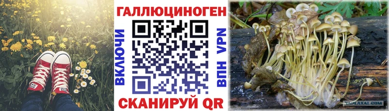 Галлюциногенные грибы мухоморы  Ардон 